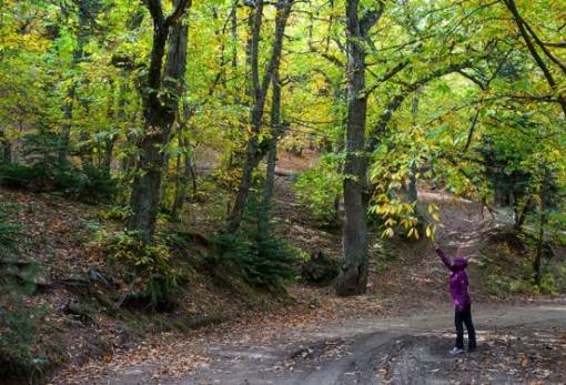 Πάρνωνας: Τρία χωριά για το Σαββατοκύριακο