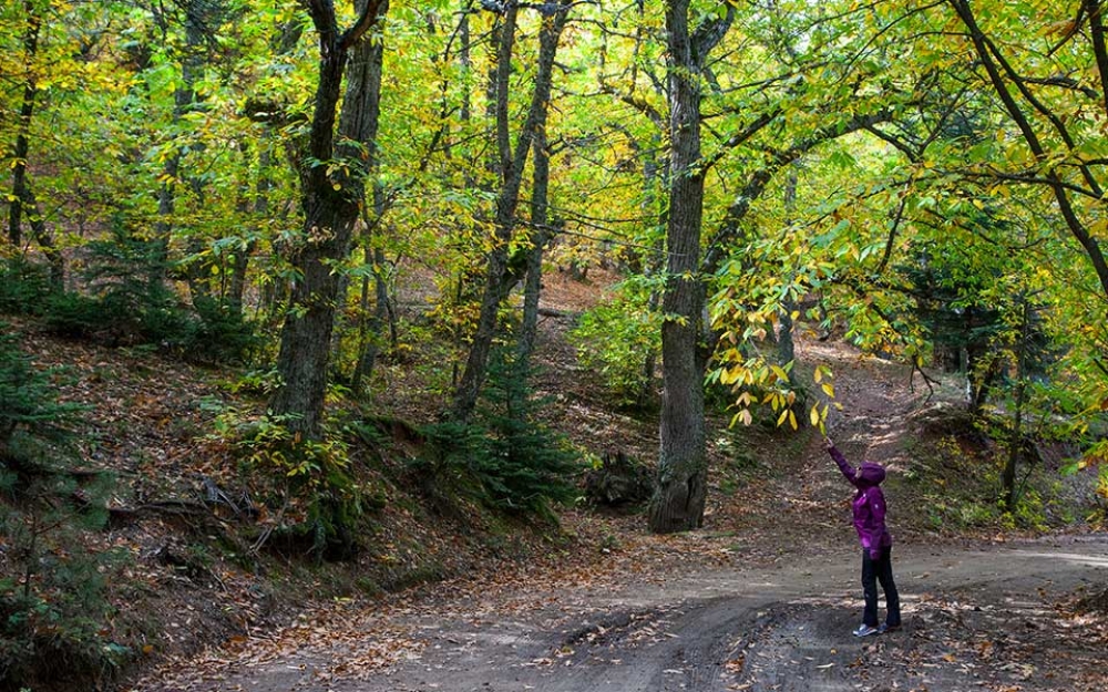 &Pi;ά&rho;&nu;&omega;&nu;&alpha;&sigmaf;: &Tau;&rho;ί&alpha; &chi;&omega;&rho;&iota;ά &gamma;&iota;&alpha; &tau;&omicron; &Sigma;&alpha;&beta;&beta;&alpha;&tau;&omicron;&kappa;ύ&rho;&iota;&alpha;&kappa;&omicron;