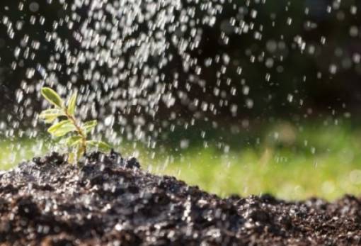 Επισκόπηση παραγωγής: Οι προοπτικές αποδόσεων παραμένουν συγκρατημένα θετικές