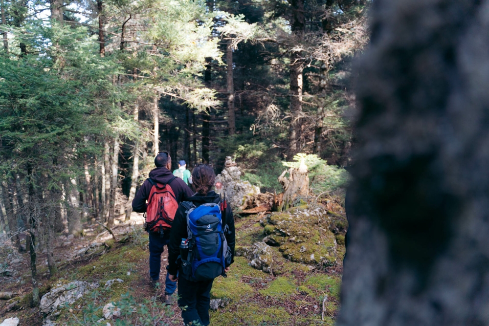&Epsilon;&xi;ό&rho;&mu;&eta;&sigma;&eta; &sigma;&tau;&omicron;&nu; &Pi;ά&rho;&nu;&omega;&nu;&alpha; &alpha;&pi;ό &tau;&omicron;&nu; &Epsilon;&Omicron;&Sigma; &Mu;&Nu;&Alpha;&Lambda; &kappa;&alpha;&iota; &Epsilon;&Omicron;&Sigma; &Sigma;&pi;ά&rho;&tau;&eta;&sigmaf;