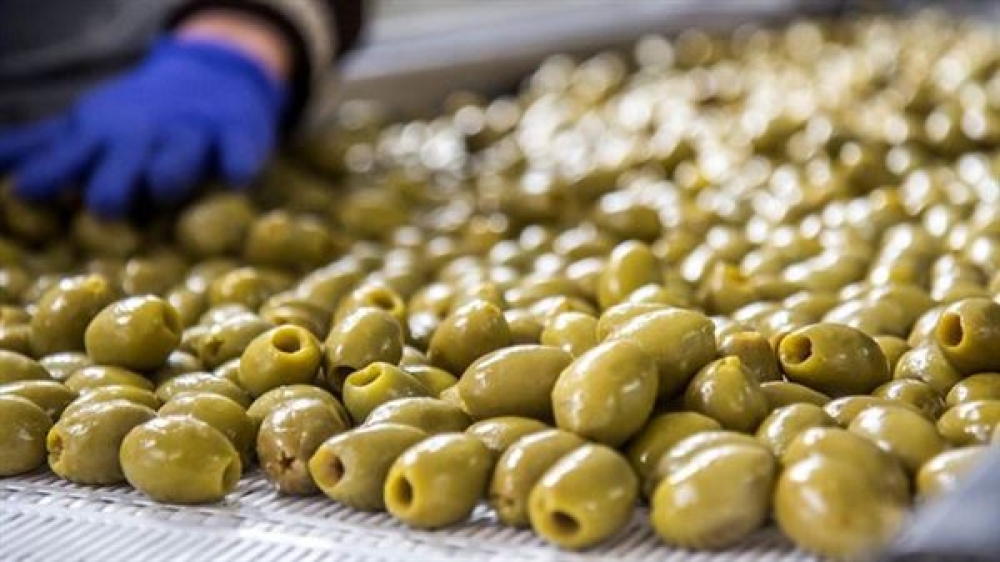 &Sigma;&epsilon; &delta;&eta;&mu;ό&sigma;&iota;&alpha; &delta;&iota;&alpha;&beta;&omicron;ύ&lambda;&epsilon;&upsilon;&sigma;&eta; &tau;&omicron; &mu;έ&tau;&rho;&omicron; &sigma;&tau;ή&rho;&iota;&xi;&eta;&sigmaf; &epsilon;&pi;&epsilon;&nu;&delta;ύ&sigma;&epsilon;&omega;&nu; &gamma;&iota;&alpha; &mu;&epsilon;&tau;&alpha;&pi;&omicron;ί&eta;&sigma;&eta; &epsilon;&mu;&pi;&omicron;&rho;ί&alpha; &kappa;&alpha;&iota; &alpha;&nu;ά&pi;&tau;&upsilon;&xi;&eta; &alpha;&gamma;&rho;&omicron;&tau;&iota;&kappa;ώ&nu; &pi;&rho;&omicron;ϊό&nu;&tau;&omega;&nu;