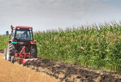 ΕΕ: Προς κατάργηση των ελέγχων στις αγροτικές επιδοτήσεις