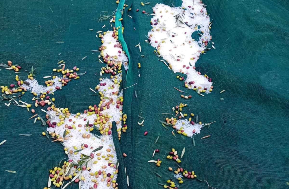 &Mu;&epsilon;&tau;&rho;&omicron;ύ&nu; &tau;&iota;&sigmaf; &pi;&lambda;&eta;&gamma;έ&sigmaf; &tau;&omicron;&upsilon;&sigmaf; &alpha;&pi;ό &tau;&omicron; &chi;&alpha;&lambda;ά&zeta;&iota; &epsilon;&lambda;&alpha;&iota;&omicron;&kappa;&alpha;&lambda;&lambda;&iota;&epsilon;&rho;&gamma;&eta;&tau;έ&sigmaf; &sigma;&tau;&omicron;&nu; &Delta;. &Mu;&omicron;&nu;&epsilon;&mu;&beta;&alpha;&sigma;ί&alpha;&sigmaf;