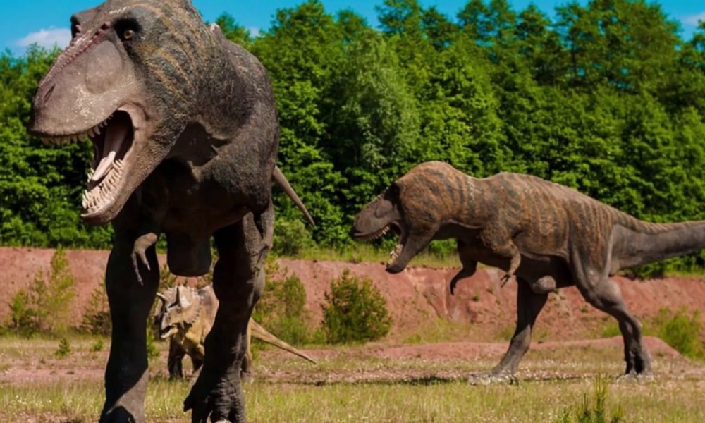 &Sigma;&eta;&mu;&alpha;&nu;&tau;&iota;&kappa;ή &alpha;&nu;&alpha;&kappa;ά&lambda;&upsilon;&psi;&eta; &alpha;&nu;&alpha;&tau;&rho;έ&pi;&epsilon;&iota; &tau;&eta; &theta;&epsilon;&omega;&rho;ί&alpha; &gamma;&iota;&alpha; &tau;&omicron;&upsilon;&sigmaf; &tau;&upsilon;&rho;&alpha;&nu;&nu;ό&sigma;&alpha;&upsilon;&rho;&omicron;&upsilon;&sigmaf;