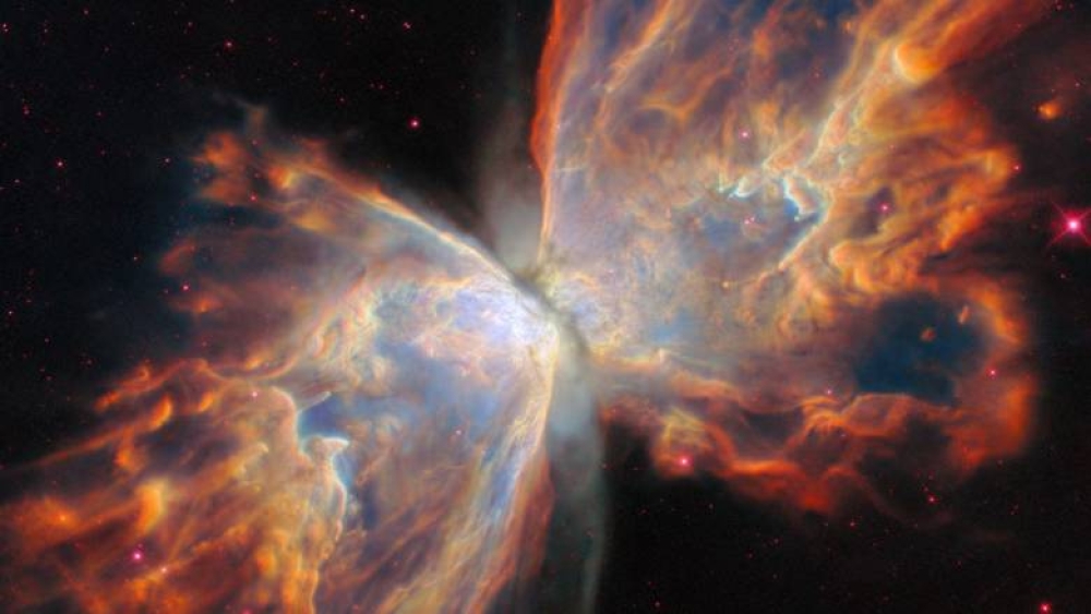 &Alpha;&nu;&alpha;&kappa;ά&lambda;&upsilon;&psi;&eta; &sigma;&tau;&omicron; &Nu;&epsilon;&phi;έ&lambda;&omega;&mu;&alpha; &Pi;&epsilon;&tau;&alpha;&lambda;&omicron;ύ&delta;&alpha; &delta;&epsilon;ί&chi;&nu;&epsilon;&iota; &pi;ώ&sigmaf; &alpha;&kappa;&rho;&iota;&beta;ώ&sigmaf; &theta;&alpha; &pi;&epsilon;&theta;ά&nu;&epsilon;&iota; &omicron; Ή&lambda;&iota;&omicron;&sigmaf; &mu;&alpha;&sigmaf;