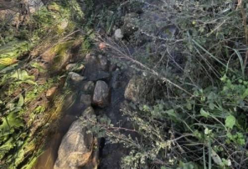 «Είναι κρίμα και άδικο να πνιγόμαστε στην ξηρά»