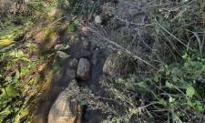 &laquo;&Epsilon;ί&nu;&alpha;&iota; &kappa;&rho;ί&mu;&alpha; &kappa;&alpha;&iota; ά&delta;&iota;&kappa;&omicron; &nu;&alpha; &pi;&nu;&iota;&gamma;ό&mu;&alpha;&sigma;&tau;&epsilon; &sigma;&tau;&eta;&nu; &xi;&eta;&rho;ά&raquo;