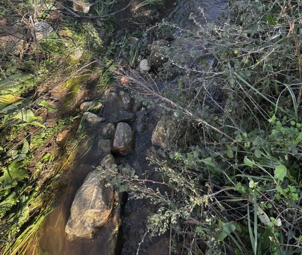 &laquo;&Epsilon;ί&nu;&alpha;&iota; &kappa;&rho;ί&mu;&alpha; &kappa;&alpha;&iota; ά&delta;&iota;&kappa;&omicron; &nu;&alpha; &pi;&nu;&iota;&gamma;ό&mu;&alpha;&sigma;&tau;&epsilon; &sigma;&tau;&eta;&nu; &xi;&eta;&rho;ά&raquo;