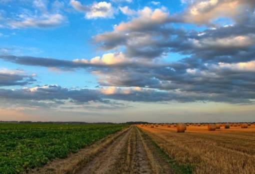 Παράταση έξι μηνών στις κρατικές ενισχύσεις σε γεωργία και αλιεία