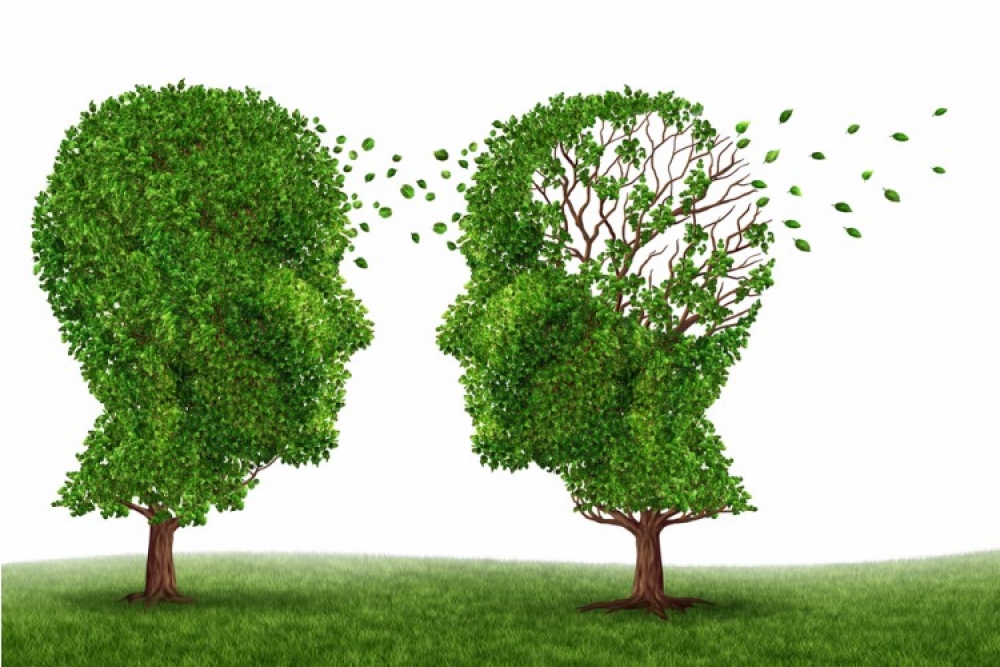 &Alpha;&lambda;&tau;&sigma;&chi;ά&iota;&mu;&epsilon;&rho;: &Mu;&epsilon;&iota;&omega;&mu;έ&nu;&omicron;&sigmaf; &omicron; &kappa;ί&nu;&delta;&upsilon;&nu;&omicron;&sigmaf; &gamma;&iota;&alpha; ό&sigma;&omicron;&upsilon;&sigmaf; &eta;&lambda;&iota;&kappa;&iota;&omega;&mu;έ&nu;&omicron;&upsilon;&sigmaf; έ&chi;&omicron;&upsilon;&nu; &kappa;ά&nu;&epsilon;&iota; &alpha;&nu;&tau;&iota;&gamma;&rho;&iota;&pi;&iota;&kappa;ό &epsilon;&mu;&beta;ό&lambda;&iota;&omicron;