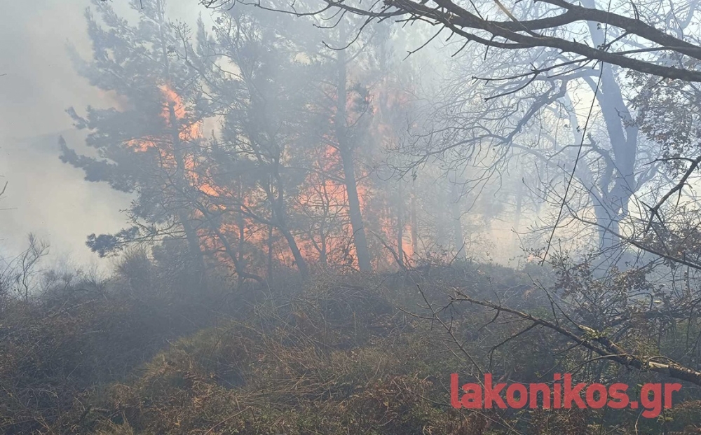 Μεγάλη πυρκαγιά στον Ταΰγετο μεταξύ Βασιλικής και Άρνας (ΦΩΤΟ)