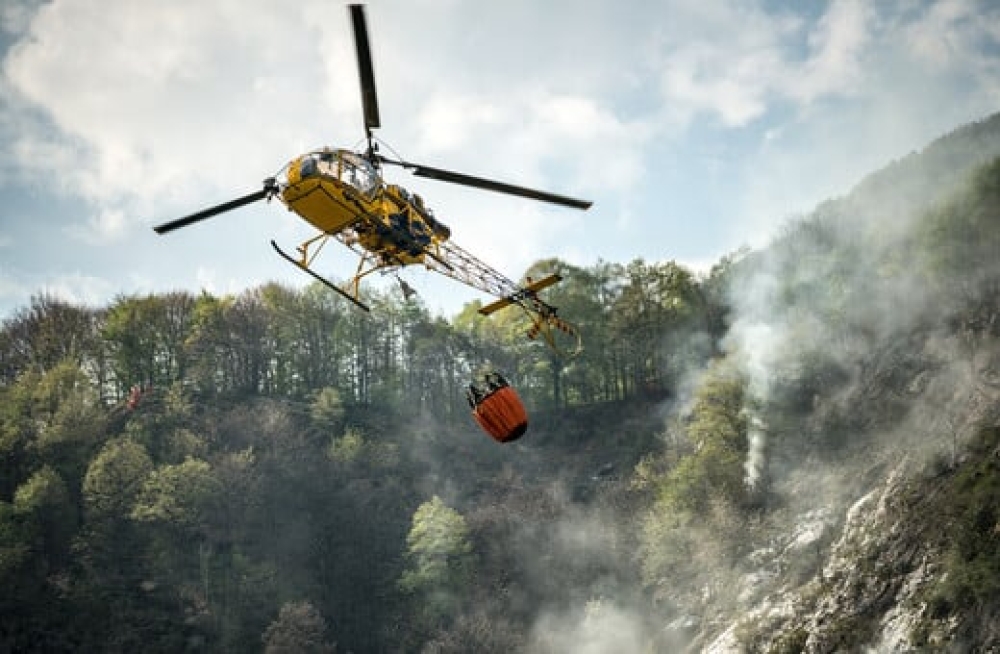 &Alpha;&iota;&sigma;&theta;&eta;&tau;ή&rho;&epsilon;&sigmaf; &beta;&omicron;&eta;&theta;&omicron;ύ&nu; &sigma;&tau;&eta;&nu; &alpha;&nu;ί&chi;&nu;&epsilon;&upsilon;&sigma;&eta; &delta;&alpha;&sigma;&iota;&kappa;ώ&nu; &pi;&upsilon;&rho;&kappa;&alpha;&gamma;&iota;ώ&nu; &sigma;&tau;&eta; &Gamma;&epsilon;&rho;&mu;&alpha;&nu;ί&alpha;