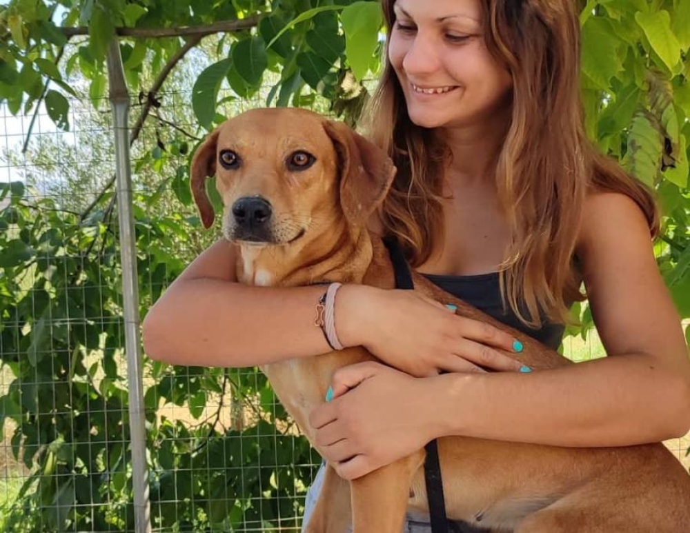 &Tau;&iota; &epsilon;ί&nu;&alpha;&iota; &tau;&omicron; &Kappa;&alpha;&tau;&alpha;&phi;ύ&gamma;&iota;&omicron; &Zeta;ώ&omega;&nu;. &Eta; &pi;&epsilon;&rho;ί&pi;&tau;&omega;&sigma;&eta; &tau;&eta;&sigmaf; &Sigma;&pi;ά&rho;&tau;&eta;&sigmaf;