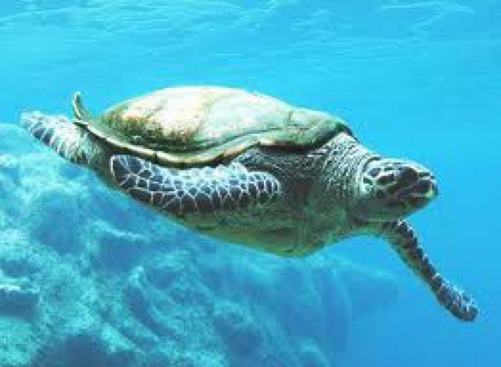 &Tau;&alpha; &alpha;&pi;&omicron;&tau;&epsilon;&lambda;έ&sigma;&mu;&alpha;&tau;&alpha; &delta;&rho;ά&sigma;&eta;&sigmaf; &tau;&omicron;&upsilon; &laquo;&Alpha;&Rho;&Chi;&Epsilon;&Lambda;&Omega;&Nu;&raquo; &gamma;&iota;&alpha; &tau;&omicron; 2021