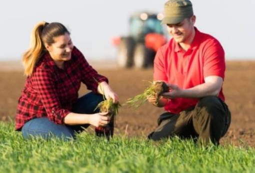 Ενίσχυση των γεωργών νεαρής ηλικίας