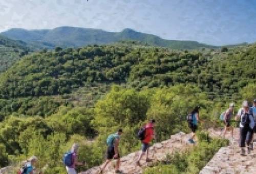 Peloponnese Trails: Πρωταγωνιστής στην Πανελλήνια Συνάντηση Μονοπατιών