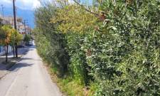 Διάνοιξη στενού Θερμοπυλών με το… στανιό και «σκιές» - Η συνέχεια