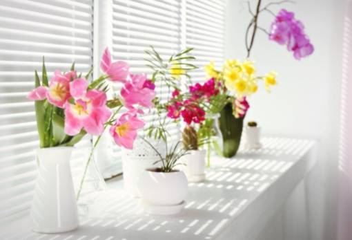 Το μοναδικό ψεύτικο λουλούδι που φέρνει τύχη σύμφωνα με το Φενγκ Σούι