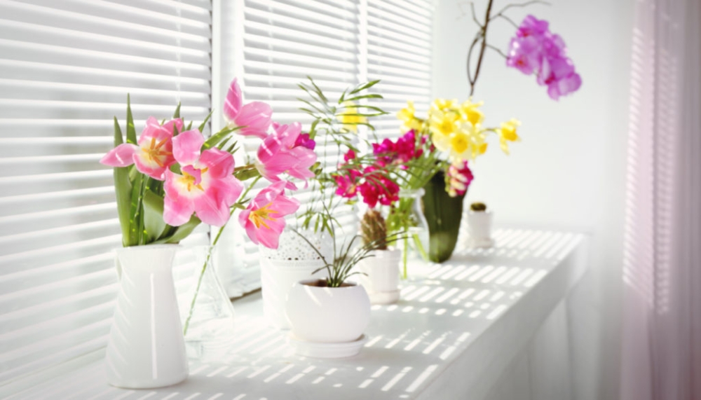 &Tau;&omicron; &mu;&omicron;&nu;&alpha;&delta;&iota;&kappa;ό &psi;&epsilon;ύ&tau;&iota;&kappa;&omicron; &lambda;&omicron;&upsilon;&lambda;&omicron;ύ&delta;&iota; &pi;&omicron;&upsilon; &phi;έ&rho;&nu;&epsilon;&iota; &tau;ύ&chi;&eta; &sigma;ύ&mu;&phi;&omega;&nu;&alpha; &mu;&epsilon; &tau;&omicron; &Phi;&epsilon;&nu;&gamma;&kappa; &Sigma;&omicron;ύ&iota;