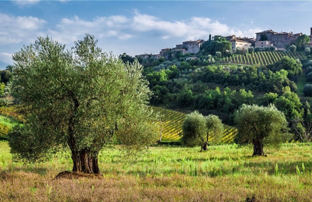 &Upsilon;&psi;&eta;&lambda;ή &upsilon;&gamma;&rho;&alpha;&sigma;ί&alpha; &kappa;&alpha;&iota; &theta;&epsilon;&rho;&mu;&omicron;&kappa;&rho;&alpha;&sigma;ί&alpha; &epsilon;&upsilon;&nu;&omicron;&omicron;ύ&nu; &alpha;&nu;ά&pi;&tau;&upsilon;&xi;&eta; &kappa;&upsilon;&kappa;&lambda;&omicron;&kappa;ό&nu;&iota;&omicron;&upsilon; &kappa;&alpha;&iota; &gamma;&lambda;&omicron;&iota;&omicron;&sigma;&pi;ό&rho;&iota;&omicron;&upsilon; &sigma;&tau;&omicron;&upsilon;&sigmaf; &epsilon;&lambda;&alpha;&iota;ώ&nu;&epsilon;&sigmaf;