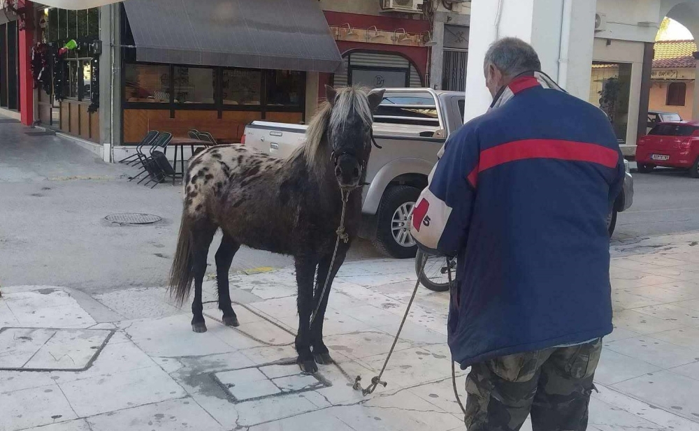 Σπάρτη: Τι γυρεύει ένα άλογο στην Κωνσταντίνου Παλαιολόγου; (ΦΩΤΟ)