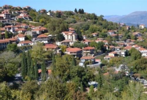 Στη Βουλή από Ελληνική Λύση η προοπτική Πολιτιστικού Κέντρου στο Γεωργίτσι