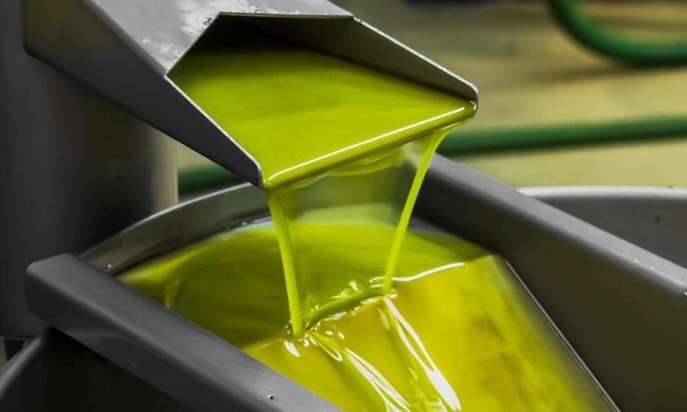 &Kappa;&alpha;&tau;ά &pi;ό&sigma;&omicron; &theta;&alpha; &epsilon;&pi;&iota;&sigma;&tau;&rho;έ&psi;&epsilon;&iota; &tau;&omicron; &epsilon;&lambda;&alpha;&iota;ό&lambda;&alpha;&delta;&omicron; &sigma;&tau;&iota;&sigmaf; &pi;&alpha;&lambda;&iota;έ&sigmaf; &tau;&iota;&mu;έ&sigmaf;