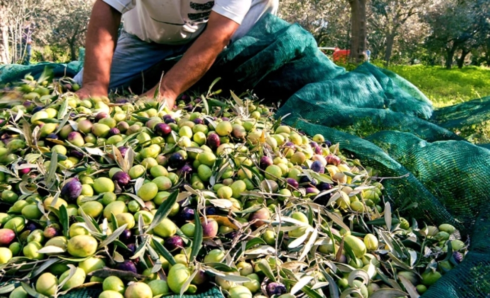 &Gamma;&rho;&eta;&gamma;&omicron;&rho;ά&kappa;&omicron;&upsilon; &gamma;&iota;&alpha; &Epsilon;&lambda;&alpha;&iota;&omicron;&kappa;&omicron;&mu;&iota;&kappa;ό &Mu;&eta;&tau;&rho;ώ&omicron;: &laquo;&Alpha;&nu;&epsilon;&phi;ά&rho;&mu;&omicron;&sigma;&tau;&omicron; &chi;&rho;&omicron;&nu;&omicron;&delta;&iota;ά&gamma;&rho;&alpha;&mu;&mu;&alpha;, &alpha;&nu;έ&phi;&iota;&kappa;&tau;&eta; &epsilon;&pi;&iota;&kappa;&alpha;&iota;&rho;&omicron;&pi;&omicron;ί&eta;&sigma;&eta;&raquo;