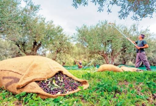 Ανέτοιμη η Πελοπόννησος για το απανωτό ψηφιακό πέρασμα