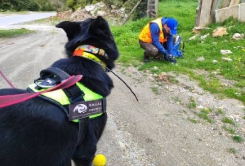 Θανάσιμη παγίδα στον Πάρνωνα με 95 φόλες σε 20 χιλιόμετρα
