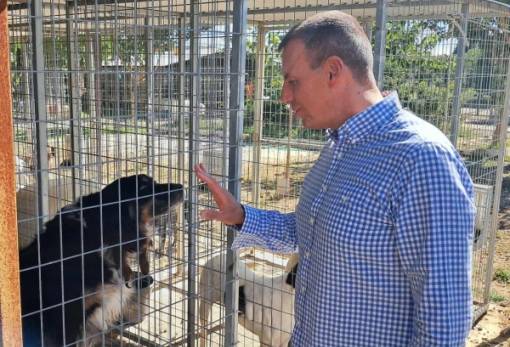 Μήνυμα δημάρχου Σπάρτης για την Παγκόσμια Ημέρα Αδέσποτων Ζώων: «Η φροντίδα τους είναι υπόθεση όλων μας»