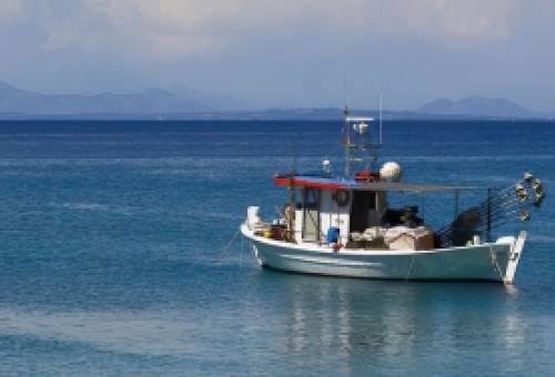 «Αλίευση» επενδύσεων στη θάλασσα της Λακωνίας