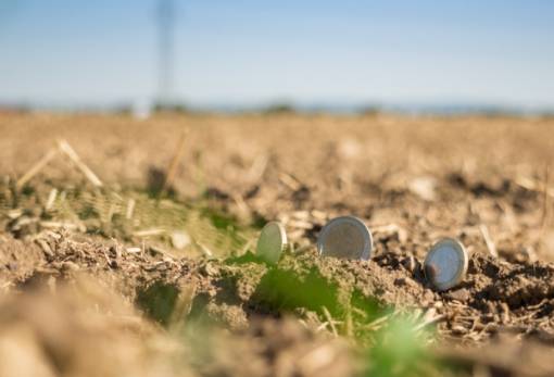 Παράταση στην υποβολή αιτήσεων για επενδύσεις στη μεταποίηση και ανάπτυξη γεωργικών προϊόντων