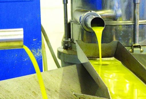 Κοντά στα 9 ευρώ το ελαιόλαδο στη Λακωνία