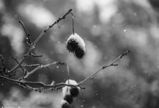 Φωτογραφία του Λάκωνα Αλ. Μπουγάδη φιναλίστ σε διαγωνισμό μετεωρολογίας