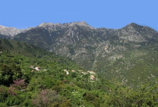 Συνάντηση για γνωριμία με τη φύση στην Ταϋγέτη