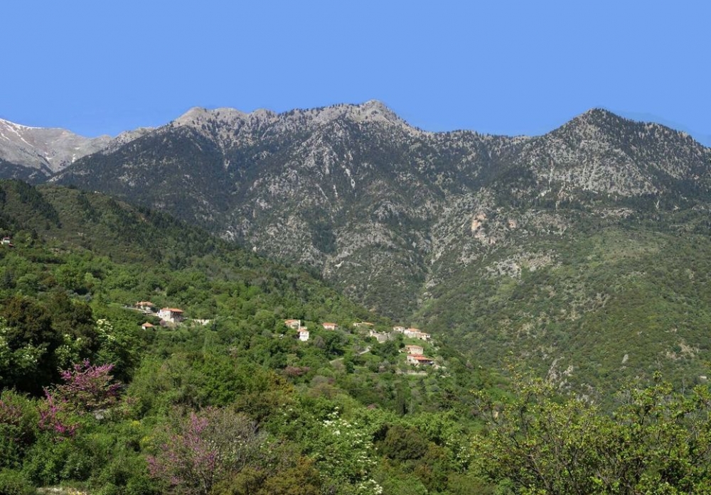 &Sigma;&upsilon;&nu;ά&nu;&tau;&eta;&sigma;&eta; &gamma;&iota;&alpha; &gamma;&nu;&omega;&rho;&iota;&mu;ί&alpha; &mu;&epsilon; &tau;&eta; &phi;ύ&sigma;&eta; &sigma;&tau;&eta;&nu; &Tau;&alpha;ϋ&gamma;έ&tau;&eta;