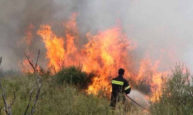  &Kappa;ά&eta;&kappa;&alpha;&nu; 20 &sigma;&tau;&rho;έ&mu;&mu;&alpha;&tau;&alpha; &sigma;&tau;&eta; &Delta;&rho;&omicron;&sigma;&omicron;&pi;&eta;&gamma;ή &Alpha;&nu;. &Mu;ά&nu;&eta;&sigmaf;