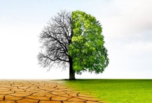 Δραματική πρόβλεψη για την κλιματική κρίση