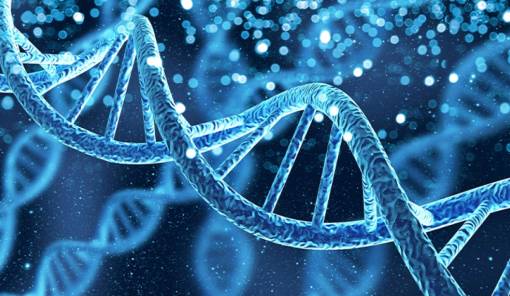 &laquo;DNA: &Tau;&omicron; &mu;ό&rho;&iota;&omicron; &tau;&eta;&sigmaf; &zeta;&omega;ή&sigmaf;&raquo;: &Alpha;&nu;&omicron;&iota;&chi;&tau;ή &epsilon;&kappa;&delta;ή&lambda;&omega;&sigma;&eta; &tau;&omicron;&upsilon; sparta.komvos &phi;&omega;&tau;ί&zeta;&epsilon;&iota; &tau;&alpha; &mu;&upsilon;&sigma;&tau;&iota;&kappa;ά &tau;&eta;&sigmaf; &zeta;&omega;ή&sigmaf;