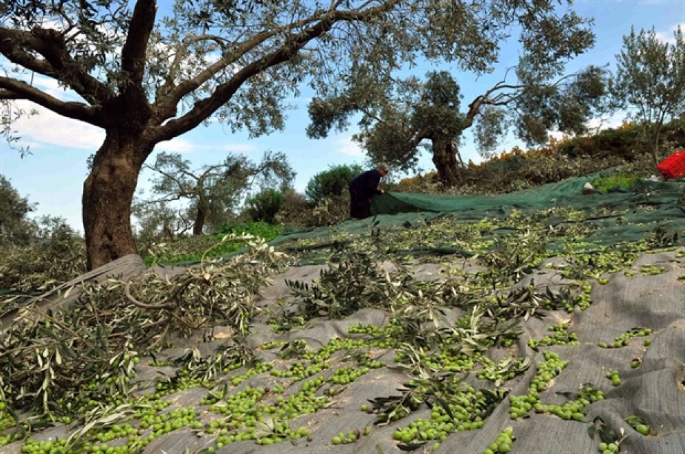 &Tau;&rho;έ&chi;&omicron;&upsilon;&nu; &omicron;&iota; &delta;&eta;&lambda;ώ&sigma;&epsilon;&iota;&sigmaf; &gamma;&iota;&alpha; &zeta;&eta;&mu;&iota;έ&sigmaf; &sigma;&epsilon; &epsilon;&lambda;&iota;έ&sigmaf; &alpha;&pi;ό &tau;&omicron;&nu; &alpha;έ&rho;&alpha; &sigma;&epsilon; 22 &kappa;&omicron;&iota;&nu;ό&tau;&eta;&tau;&epsilon;&sigmaf; &tau;&omicron;&upsilon; &Delta;. &Sigma;&pi;ά&rho;&tau;&eta;&sigmaf;