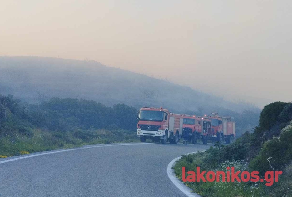 &Sigma;&upsilon;&nu;&epsilon;&lambda;ή&phi;&theta;&eta; &tau;&eta;&nu; 25&eta; &Mu;&alpha;&rho;&tau;ί&omicron;&upsilon; &gamma;&iota;&alpha; &pi;&upsilon;&rho;&kappa;&alpha;&gamma;&iota;ά &sigma;&tau;&eta;&nu; &Epsilon;&lambda;ί&kappa;&alpha;