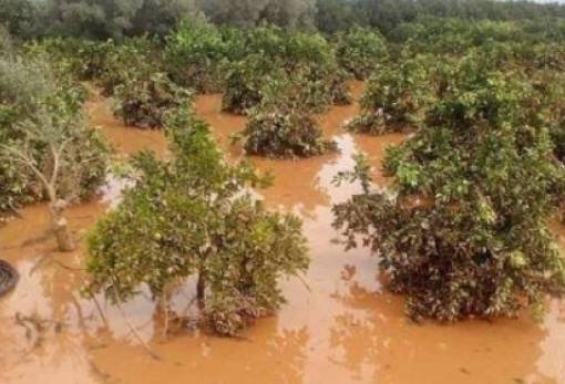 Πορίσματα για τις ζημιές από τις πλημμύρες του Γενάρη στη Στεφανιά