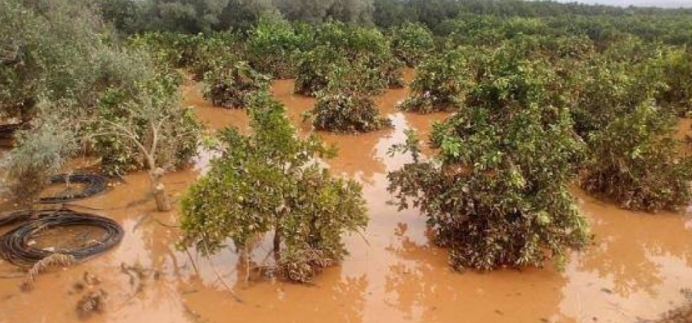 &Pi;&omicron;&rho;ί&sigma;&mu;&alpha;&tau;&alpha; &gamma;&iota;&alpha; &tau;&iota;&sigmaf; &zeta;&eta;&mu;&iota;έ&sigmaf; &alpha;&pi;ό &tau;&iota;&sigmaf; &pi;&lambda;&eta;&mu;&mu;ύ&rho;&epsilon;&sigmaf; &tau;&omicron;&upsilon; &Gamma;&epsilon;&nu;ά&rho;&eta; &sigma;&tau;&eta; &Sigma;&tau;&epsilon;&phi;&alpha;&nu;&iota;ά