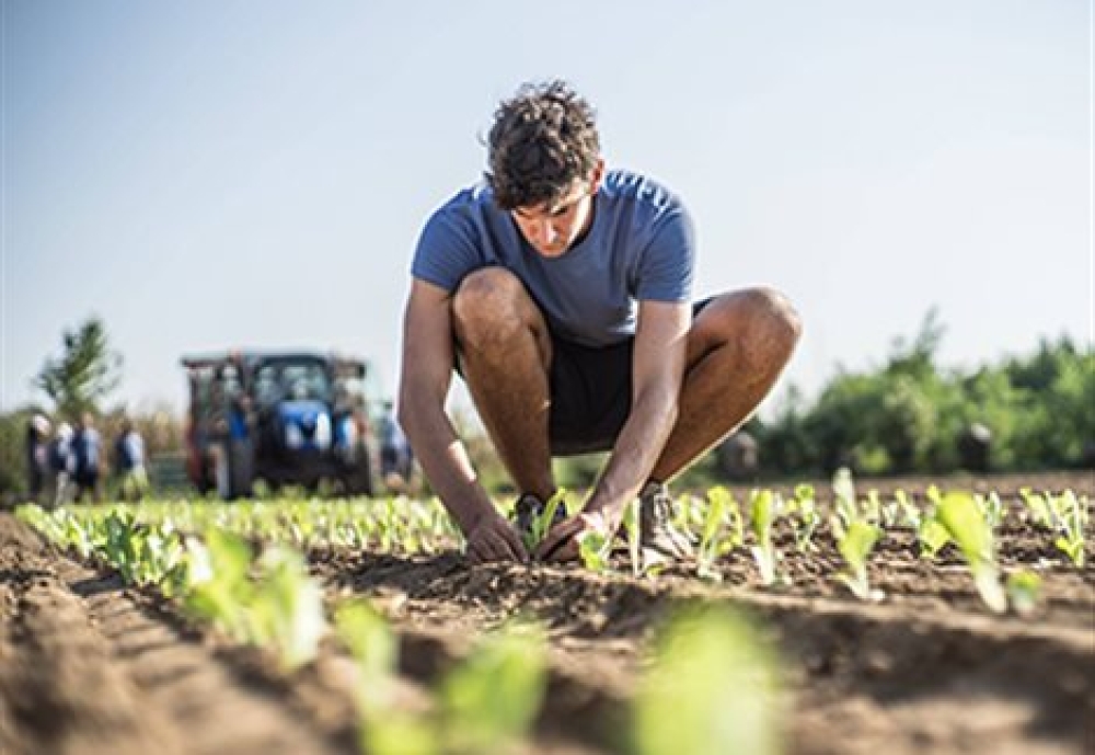 &Pi;&rho;ό&gamma;&rho;&alpha;&mu;&mu;&alpha; &Nu;έ&omega;&nu; &Gamma;&epsilon;&omega;&rho;&gamma;ώ&nu;: &Pi;&rho;&omicron;ϋ&pi;&omicron;&theta;έ&sigma;&epsilon;&iota;&sigmaf; &kappa;&alpha;&iota; &Delta;&epsilon;&sigma;&mu;&epsilon;ύ&sigma;&epsilon;&iota;&sigmaf;