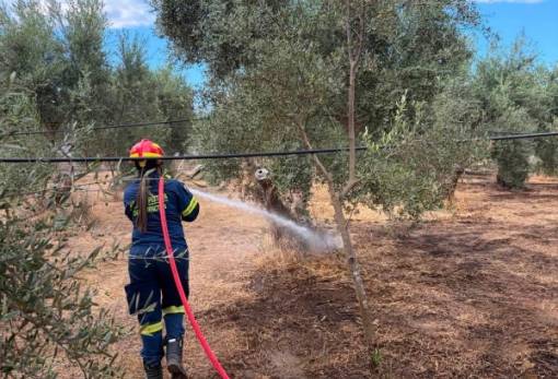 Δύο φωτιές σε μια μέρα σε Αμύκλες και Λευκόχωμα