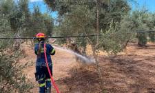 &Delta;ύ&omicron; &phi;&omega;&tau;&iota;έ&sigmaf; &sigma;&epsilon; &mu;&iota;&alpha; &mu;έ&rho;&alpha; &sigma;&epsilon; &Alpha;&mu;ύ&kappa;&lambda;&epsilon;&sigmaf; &kappa;&alpha;&iota; &Lambda;&epsilon;&upsilon;&kappa;ό&chi;&omega;&mu;&alpha;
