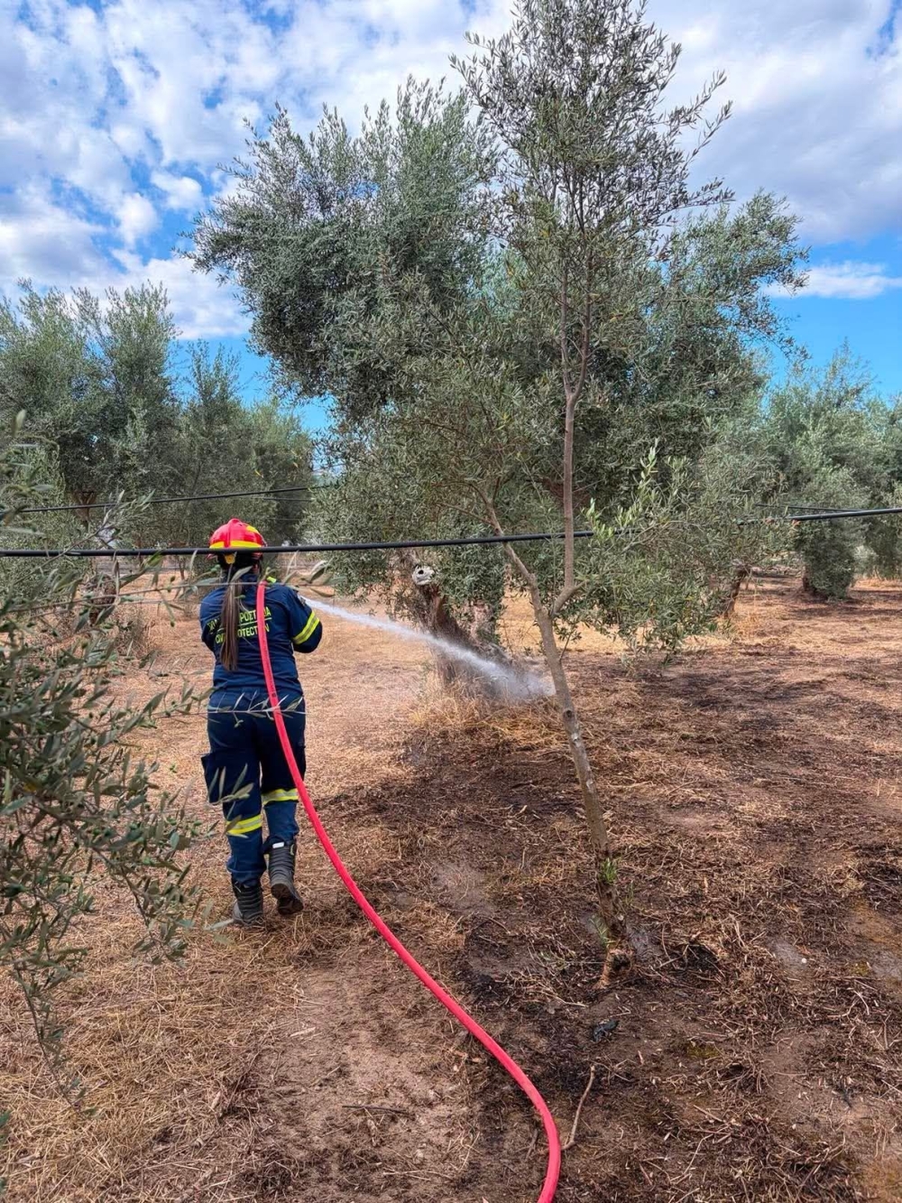 &Delta;ύ&omicron; &phi;&omega;&tau;&iota;έ&sigmaf; &sigma;&epsilon; &mu;&iota;&alpha; &mu;έ&rho;&alpha; &sigma;&epsilon; &Alpha;&mu;ύ&kappa;&lambda;&epsilon;&sigmaf; &kappa;&alpha;&iota; &Lambda;&epsilon;&upsilon;&kappa;ό&chi;&omega;&mu;&alpha;
