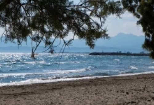 Νεκρός ανασύρθηκε άνδρας στην παραλία της Γλυκόβρυσης