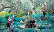 &Epsilon;&pi;&iota;&delta;&omicron;&tau;ή&sigma;&epsilon;&iota;&sigmaf;... &mu;&epsilon;&tau;&rsquo; &epsilon;&pi;&iota;&sigma;&tau;&rho;&omicron;&phi;ή&sigmaf;  3 &chi;&rho;ό&nu;&iota;&alpha; &mu;&epsilon;&tau;ά